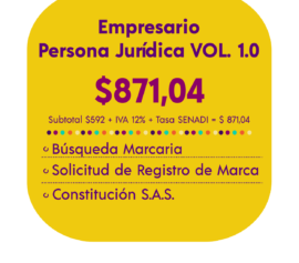 EMPRESARIO - PERSONA JURÍDICA VOL. 1.0