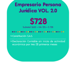 EMPRESARIO - PERSONA JURÍDICA VOL. 2.0