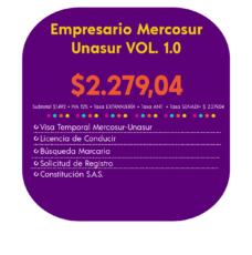 EMPRESARIO MERCOSUR-UNASUR VOL. 1.0