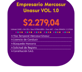 EMPRESARIO MERCOSUR-UNASUR VOL. 1.0