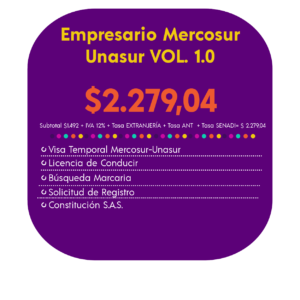 EMPRESARIO MERCOSUR-UNASUR VOL. 1.0