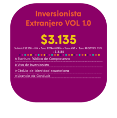 INVERSIONISTA EXTRANJERO VOL 1.0
