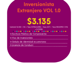 INVERSIONISTA EXTRANJERO VOL 1.0