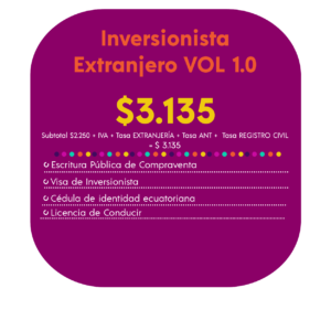 INVERSIONISTA EXTRANJERO VOL 1.0